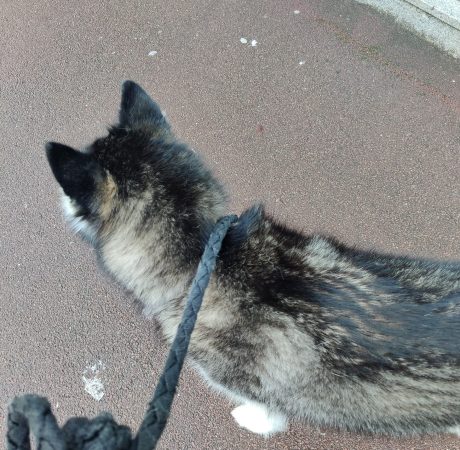 IMG_20231212_154959_Original (1)