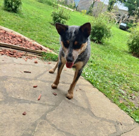 IMG_20240508_152217_Original