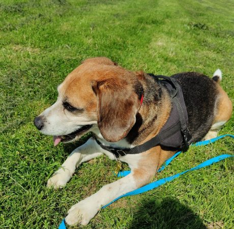 IMG_20240606_112459_Original (1)