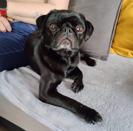 IMG_20240621_115309_Original (1)