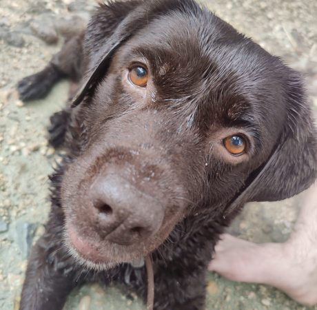 IMG_20240808_180336_Original