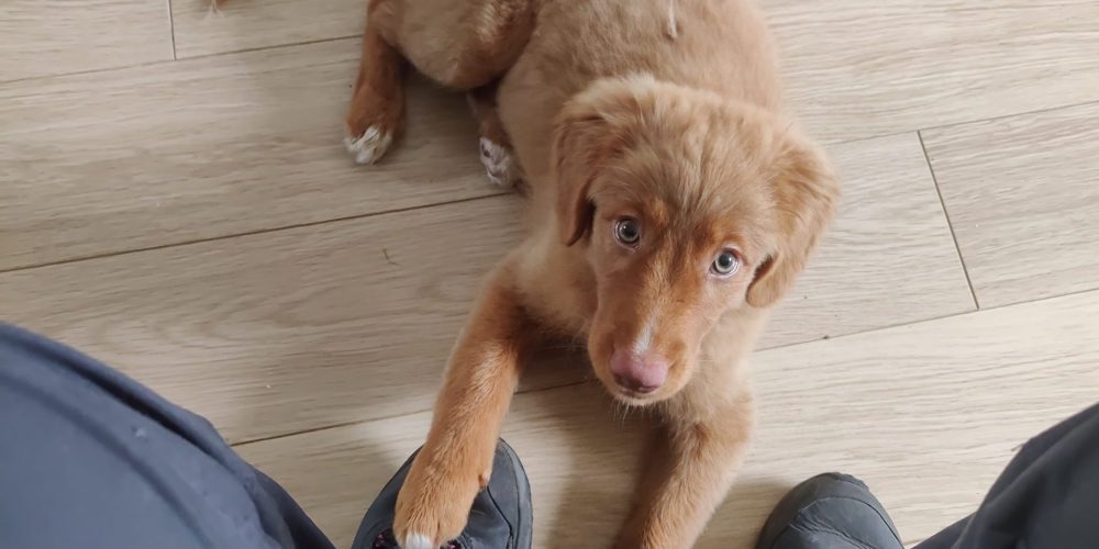 IMG_20240903_122747_Original