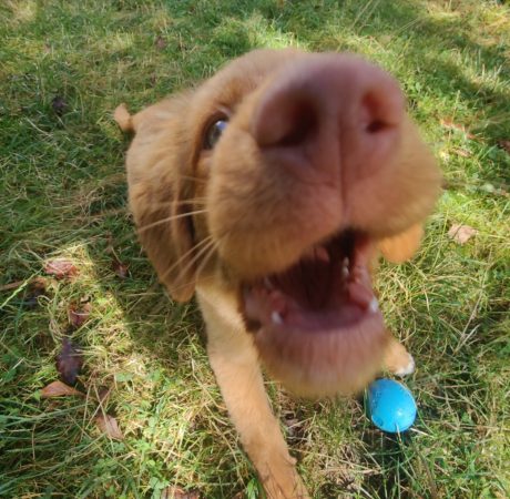 IMG_20240906_115504_Original