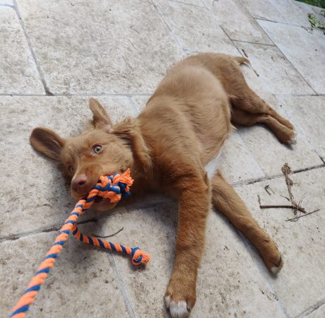 IMG_20240927_121038_Original